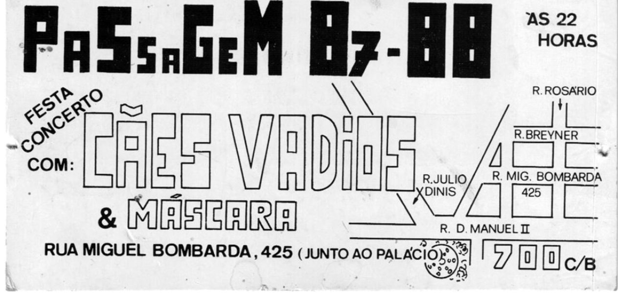 caes vadios